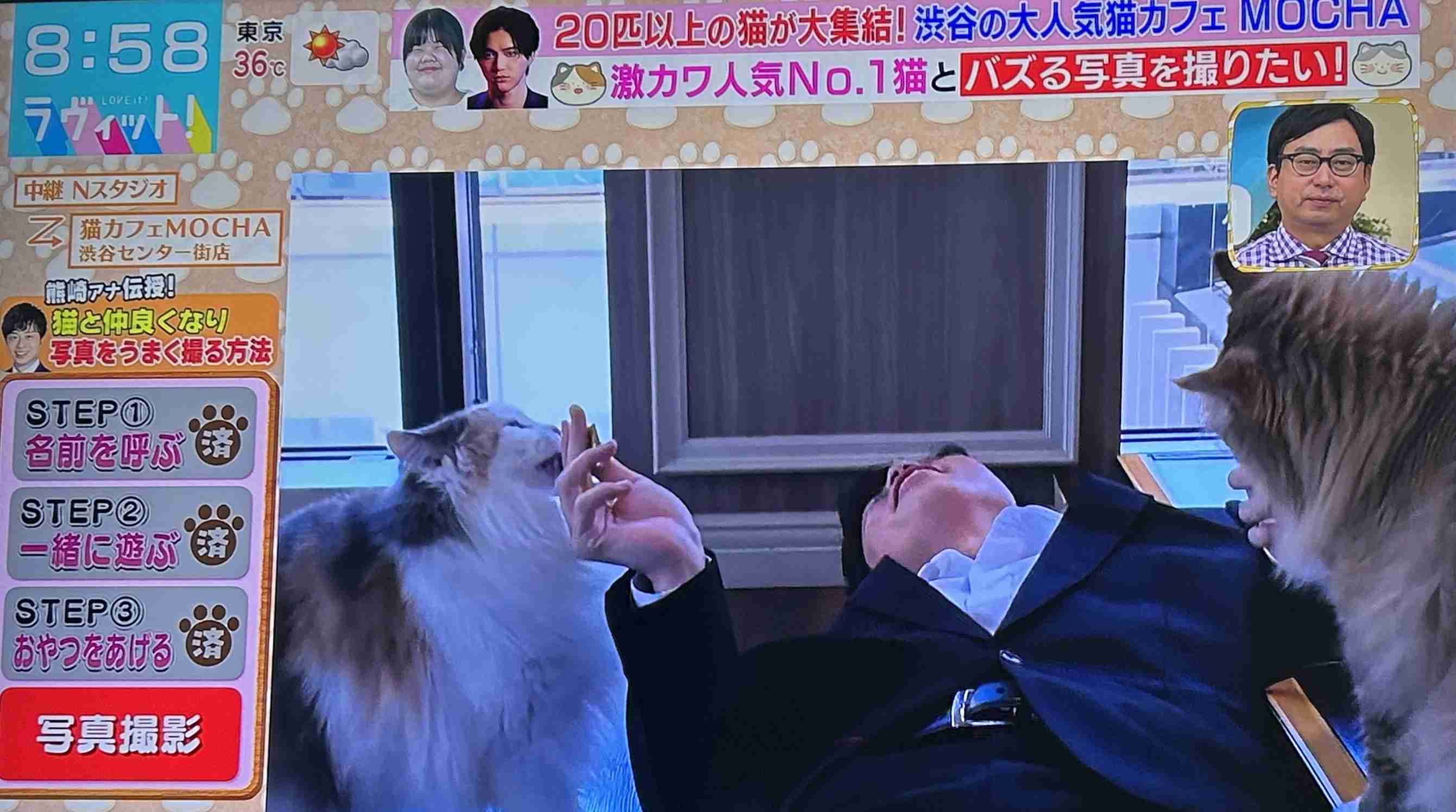 【9月】ラヴィット！好きな人集合【実況】※アンチ禁止