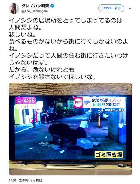 SNS「理解できない」と批判 クマ駆除した自治体へ「かわいそう」と抗議する人ってどんな心理状態?【精神科医が分析】