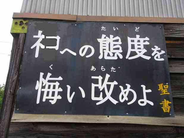 ネコの頭蓋骨132匹分を確認　排泄物や死骸を放置した環境で飼育 多くを衰弱死させた疑いで女を逮捕　「飼育費用や手間が増え面倒になった」