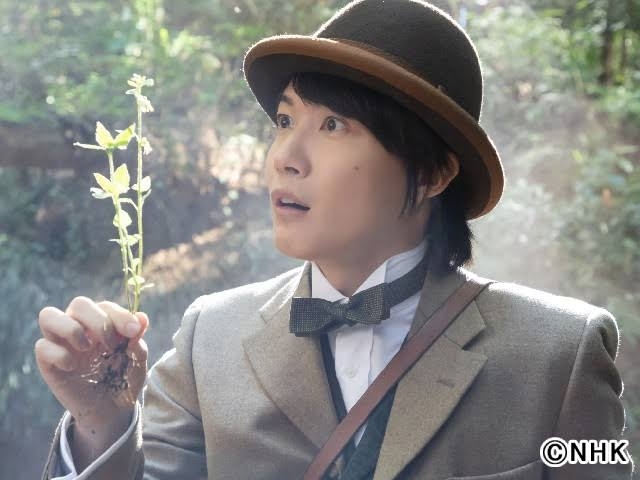 🌳名前に木・林・森がつく有名人と言えば？🌳