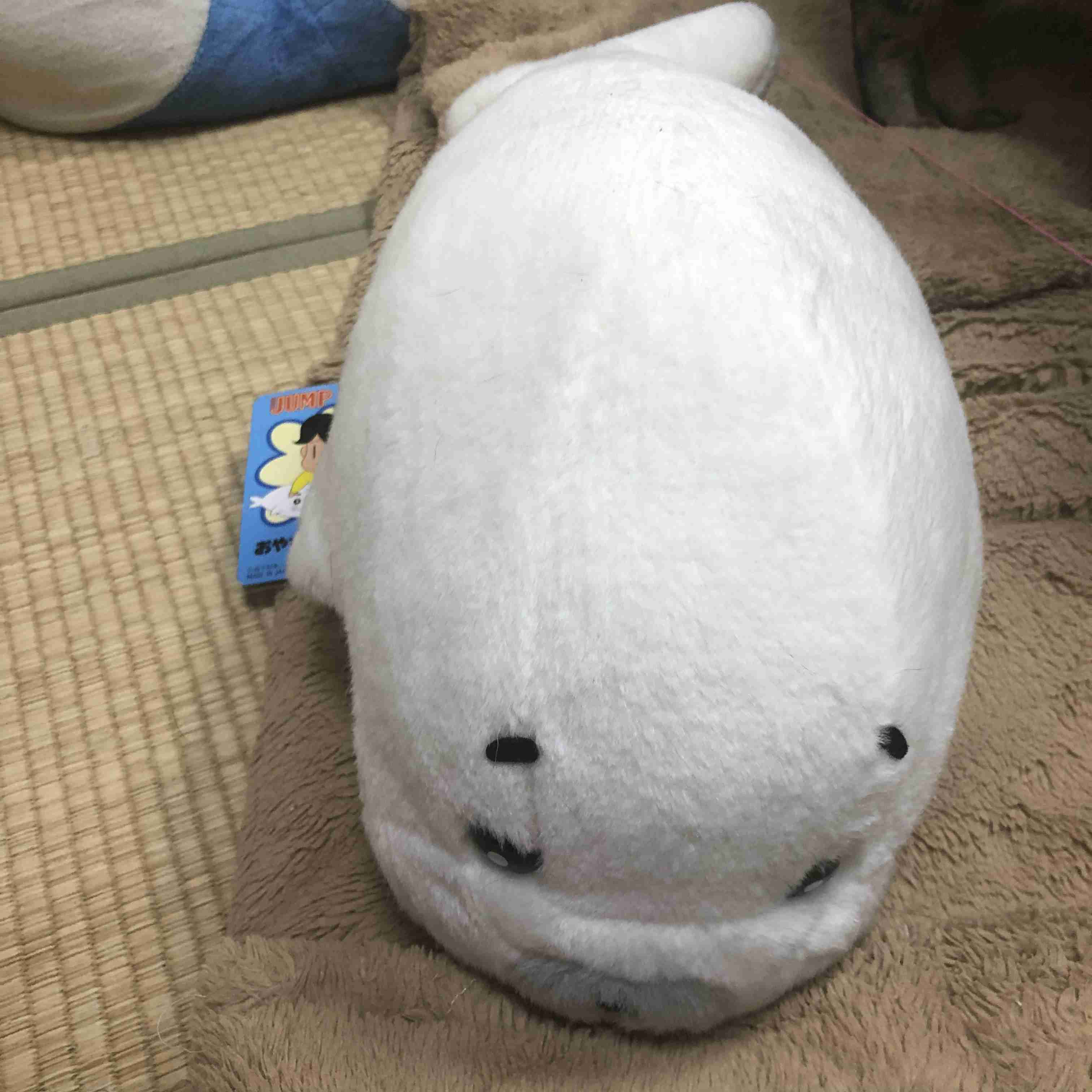 少年アシベに癒やされる【ゴマちゃん】