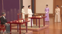 https://up.gc-img.net/post_img/2025/09/aLX4IpRgCDKrg5x_R6Kui_34830.gif