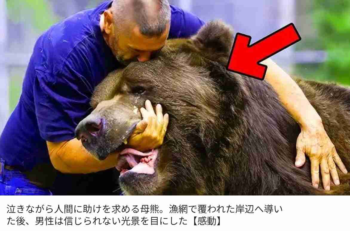 田母神俊雄氏「見つけ次第殺処分にすべきだ」 動物愛護と「バカなことを言うな」クマ被害に一言