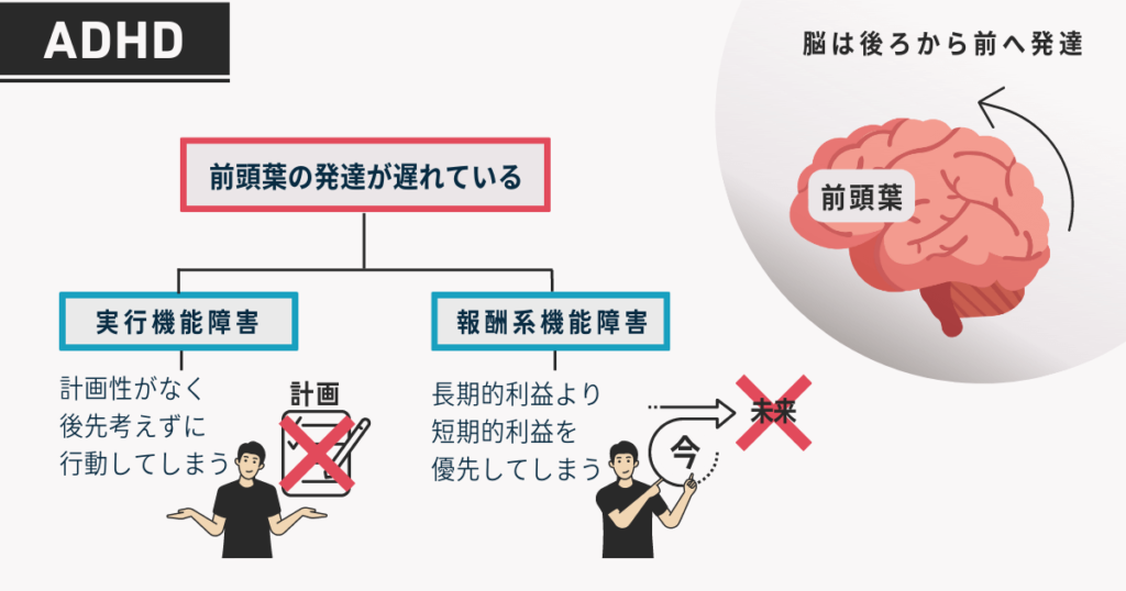 非嘔吐過食