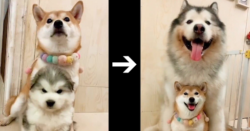 いろんな前後の画像トピ