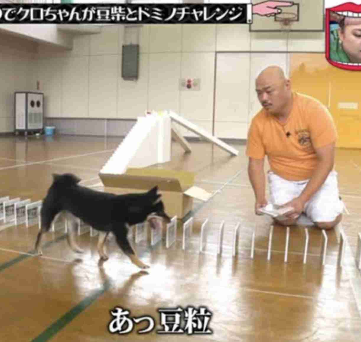 9月6日クロちゃんの日