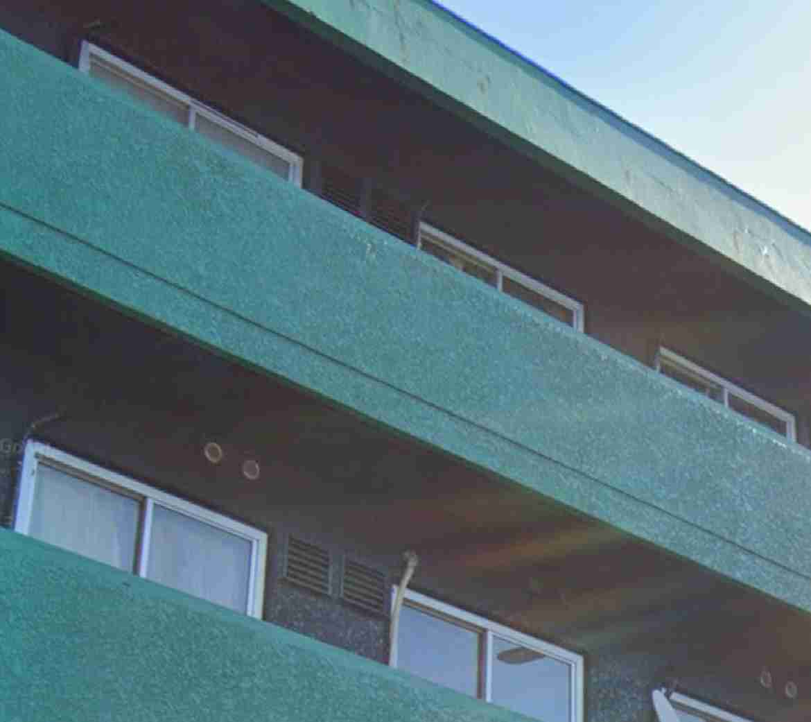 ゴミからゴキブリ3万匹を発生させたティックトッカー・最強ちゃん　裁判で明かされた近隣住人の「地獄絵図」の生活