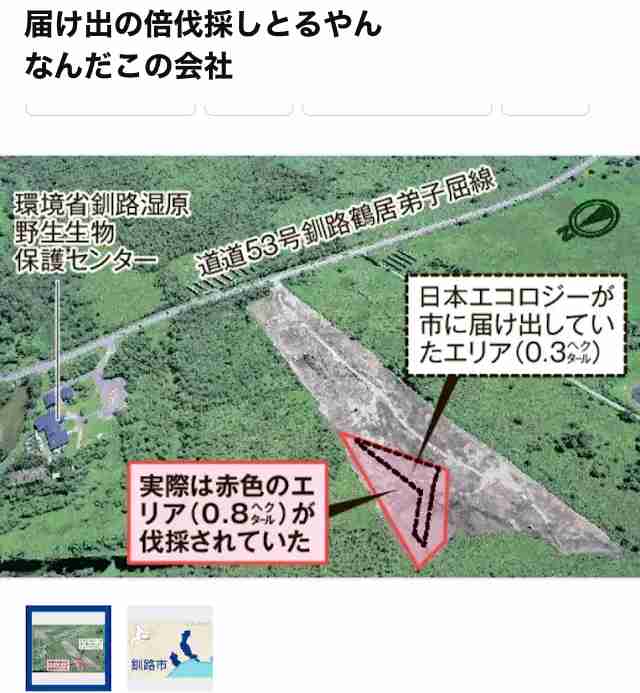 釧路湿原周辺メガソーラー、事業中止せず 「立ち止まれない」と社長 植林、タンチョウ保護柵設置へ