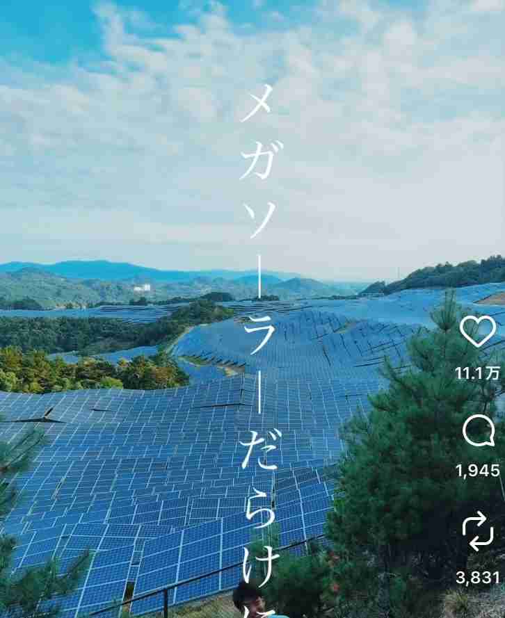 釧路湿原周辺メガソーラー、事業中止せず 「立ち止まれない」と社長 植林、タンチョウ保護柵設置へ