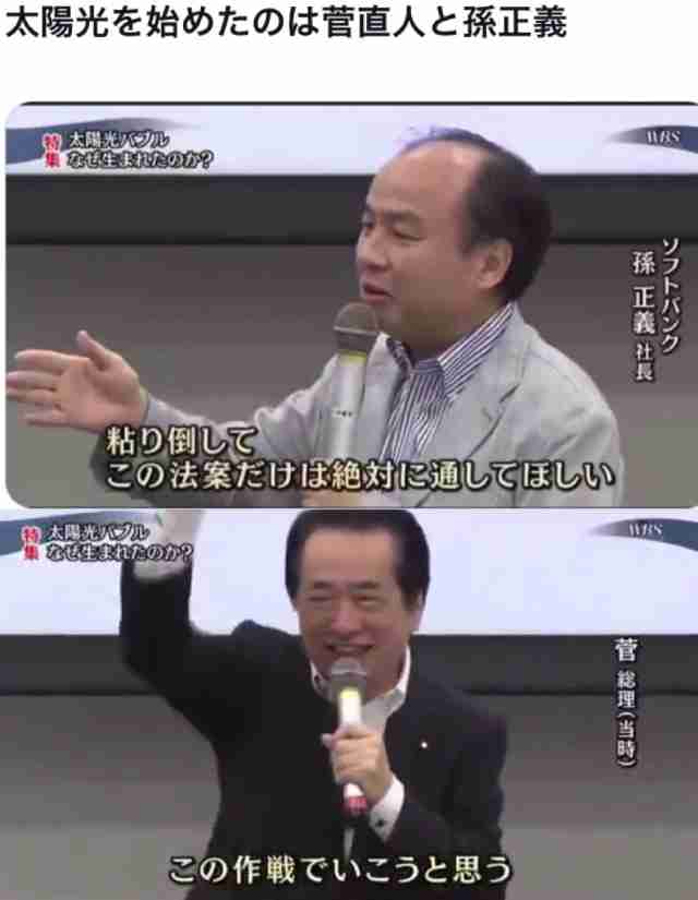 釧路湿原周辺メガソーラー、事業中止せず 「立ち止まれない」と社長 植林、タンチョウ保護柵設置へ