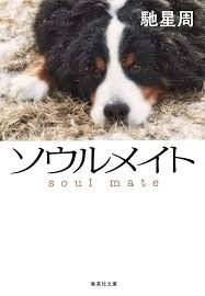 ソウルメイトやツインレイ体験