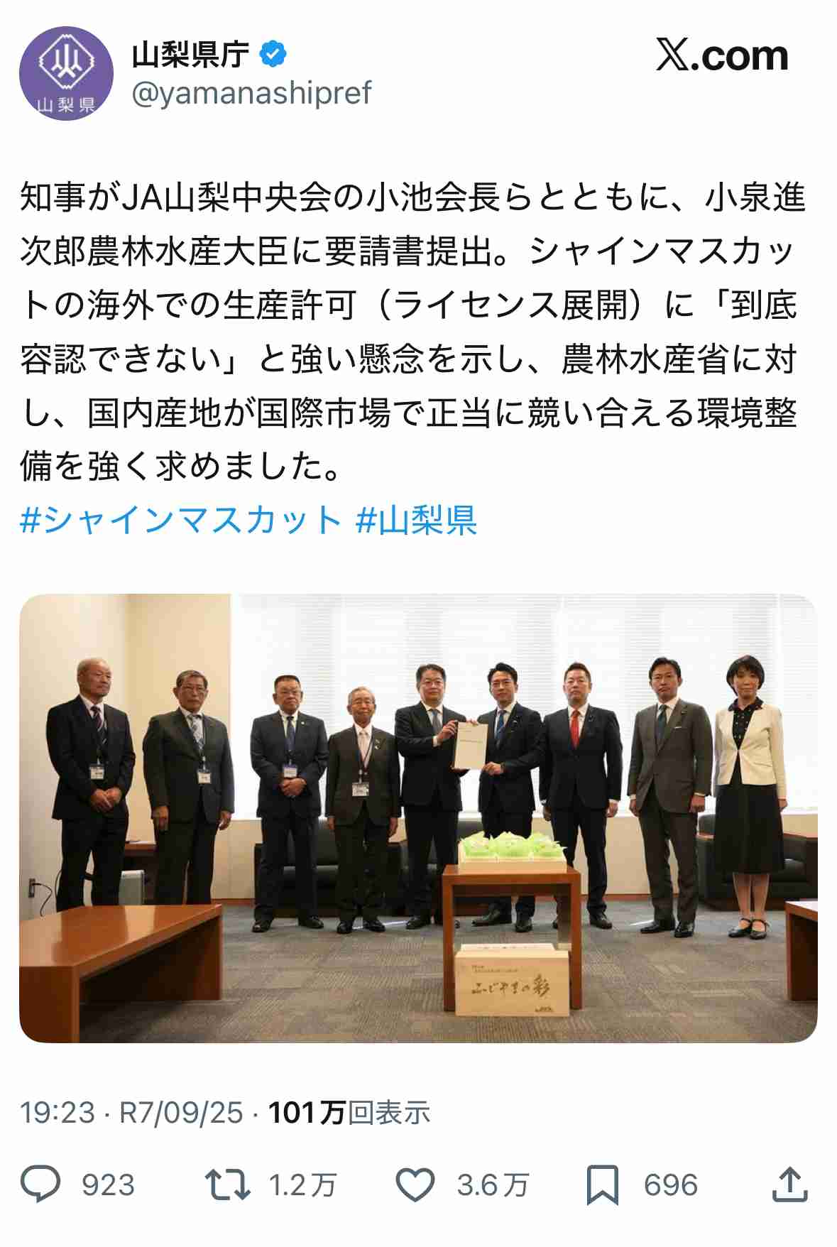 シャインマスカット栽培権、農水省がNZへ供与検討　小泉進次郎氏に山梨県抗議