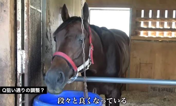 ちょっと笑えそうな動物の画像が見たい