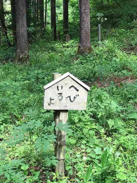 ちょっと笑えそうな動物の画像が見たい