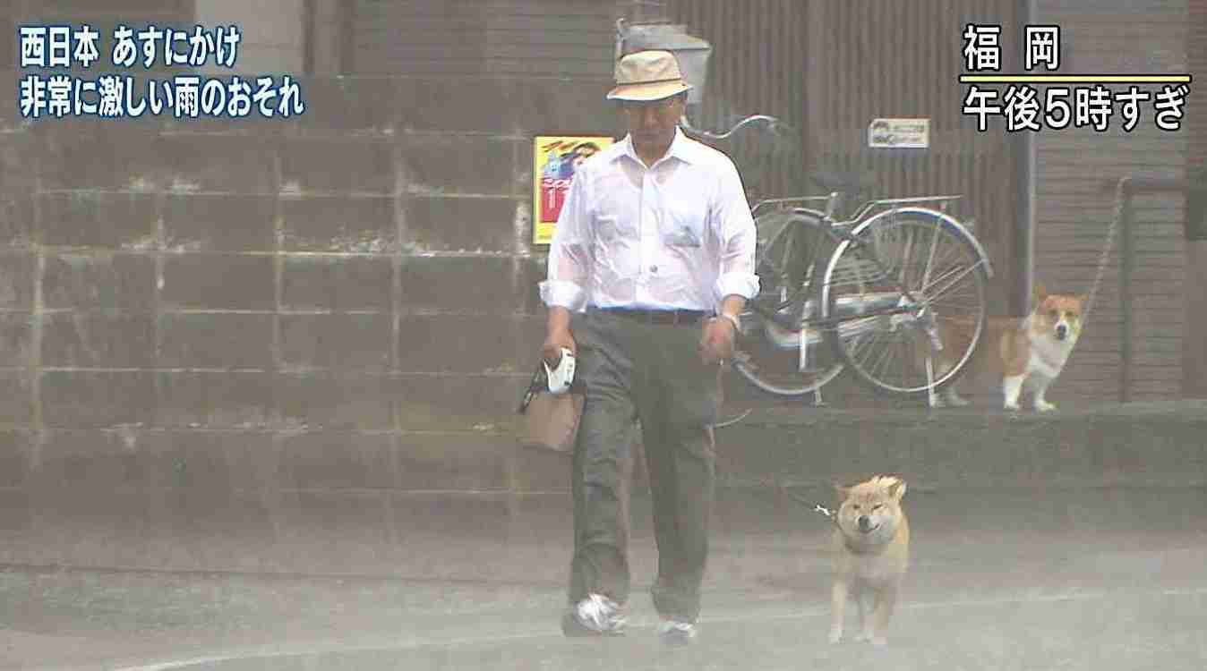 ちょっと笑えそうな動物の画像が見たい