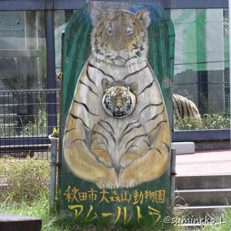 ちょっと笑えそうな動物の画像が見たい