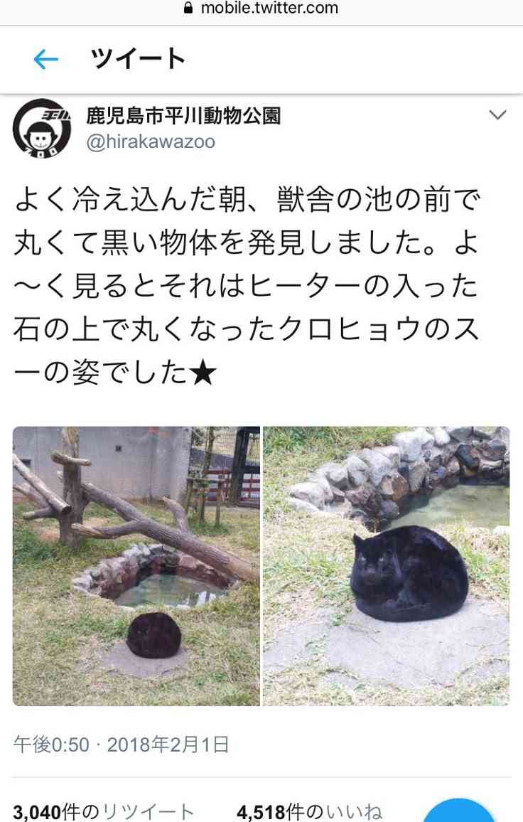 ちょっと笑えそうな動物の画像が見たい