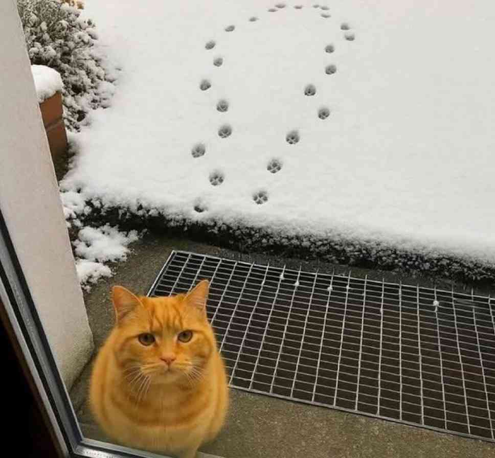 ちょっと笑えそうな動物の画像が見たい