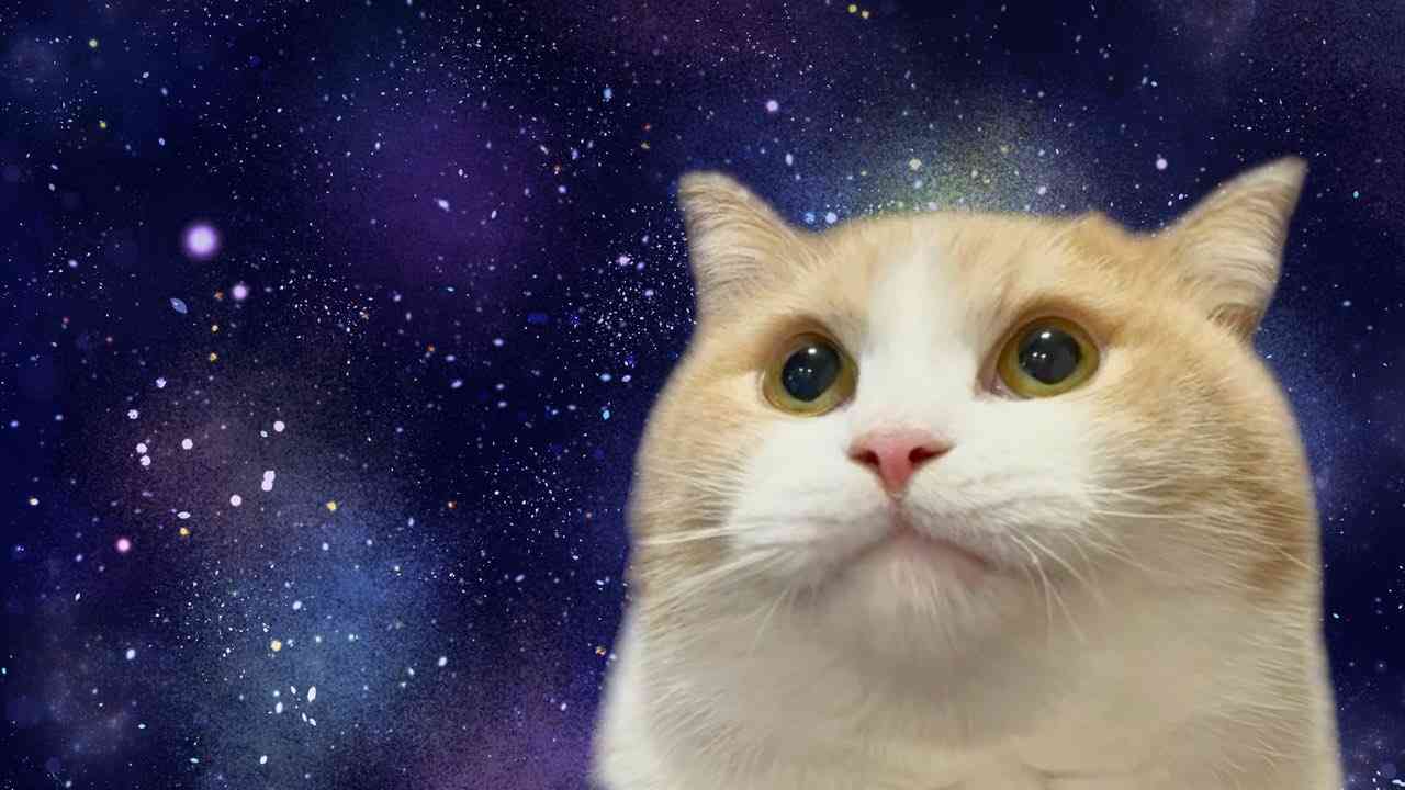 空目したもの