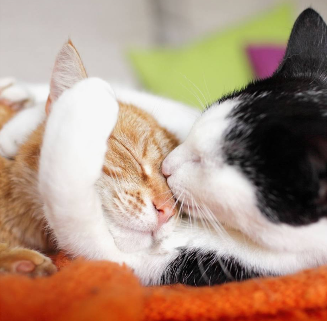 今じゃ考えられない、彼氏とやっていた事