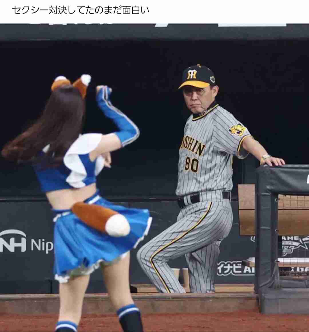 🐯阪神タイガース 応援トピ🐯