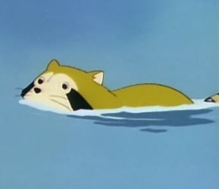 大人になってから泳げるようになった人