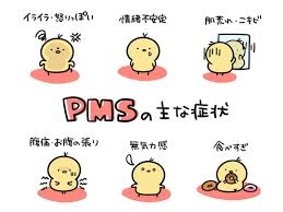PMS重い人