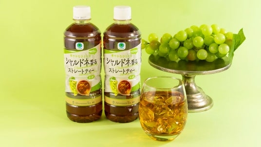 好きなペットボトルのお茶