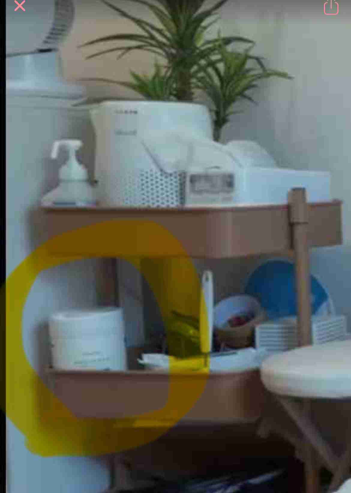 バッパー翔太(Bappa Shota)、ウイグル動画から3か月ぶりの動画配信で帰国を報告　拘束説渦巻く中で語った葛藤と今後