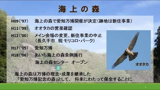 釧路メガソーラー計画地で「キタサンショウウオ」確認　市天然記念物
