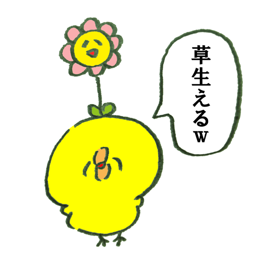 高価な化粧水や美容液