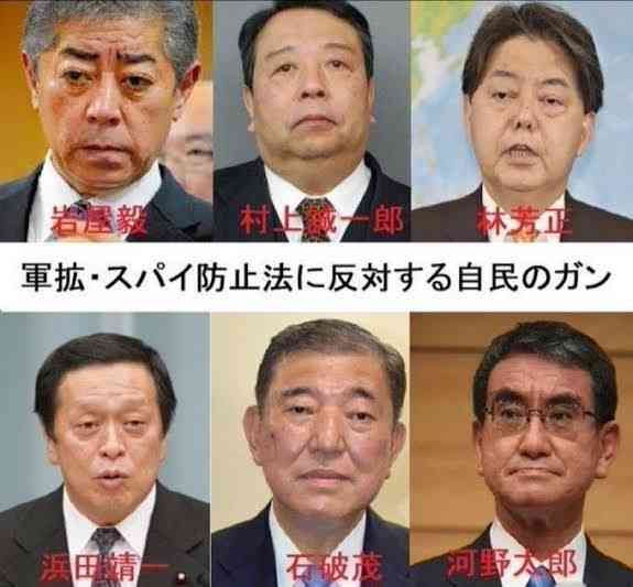 「ホームタウン事業」見直しへ　外務省、SNS誤情報で注意喚起