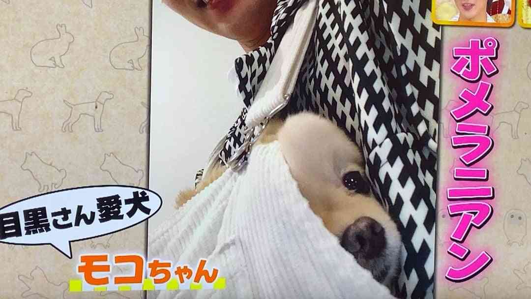 推しに彼女がいるなと思った瞬間 Part2