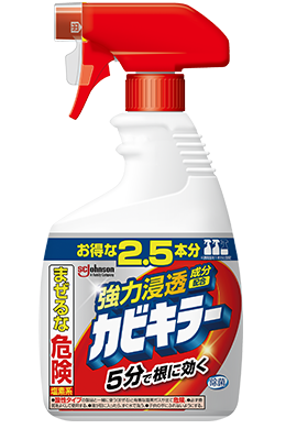 寝室のカビ臭さ