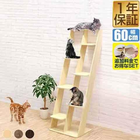 キャットタワーを語る