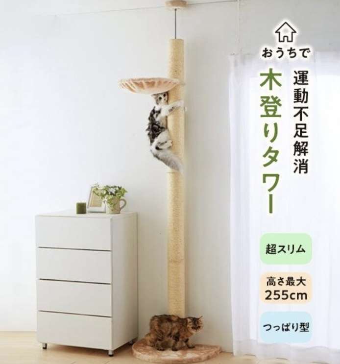 キャットタワーを語る