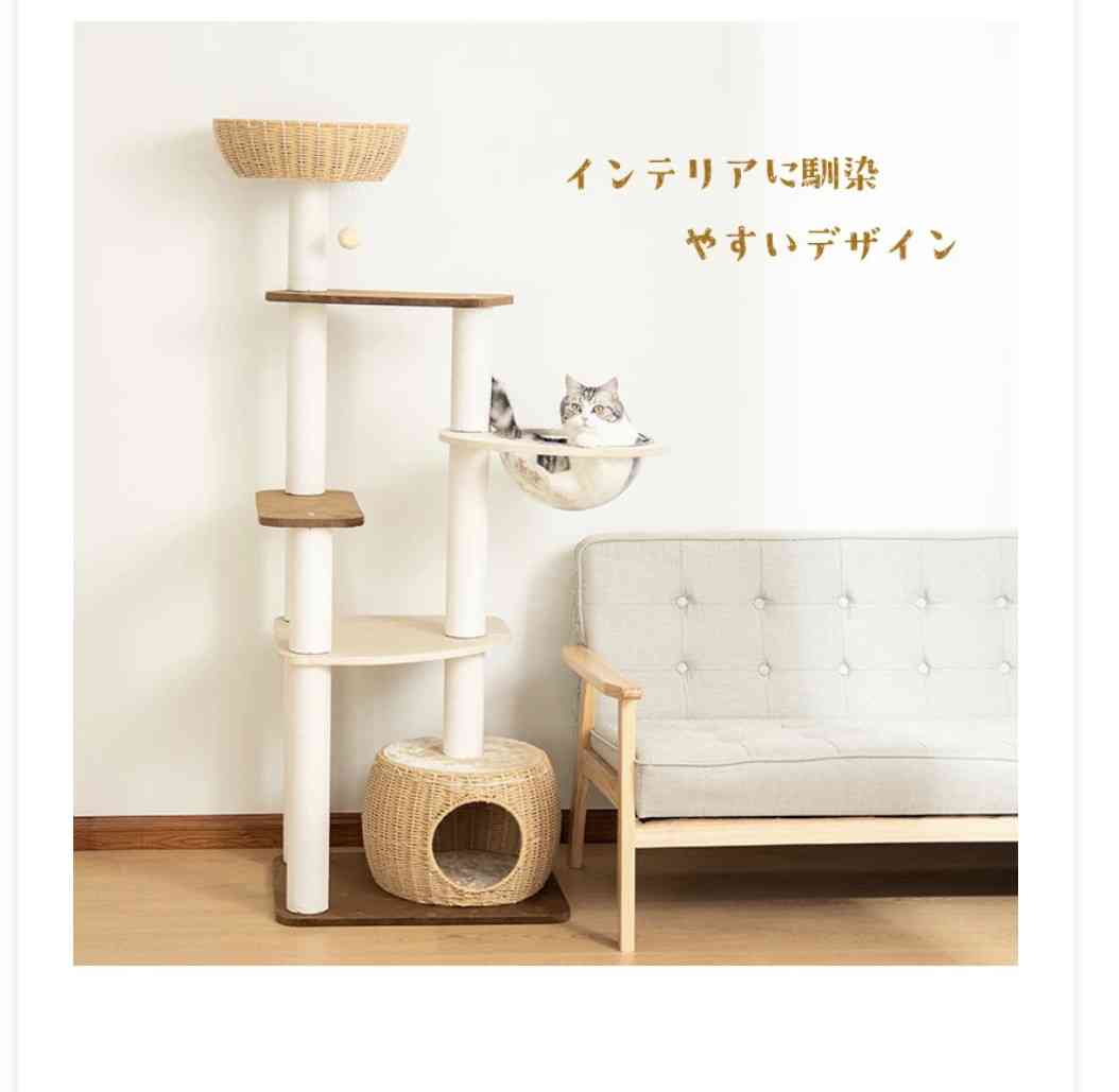 キャットタワーを語る