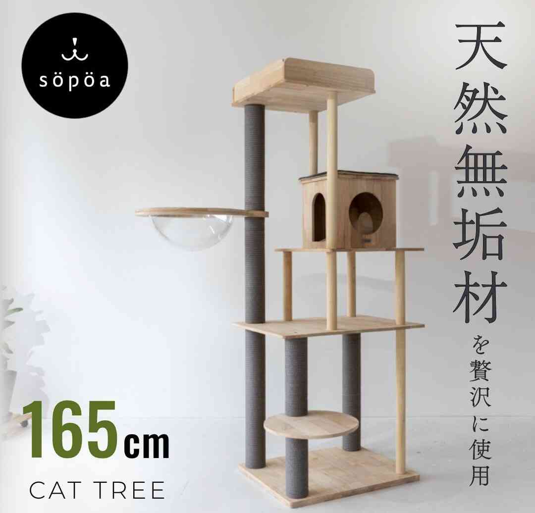 キャットタワーを語る