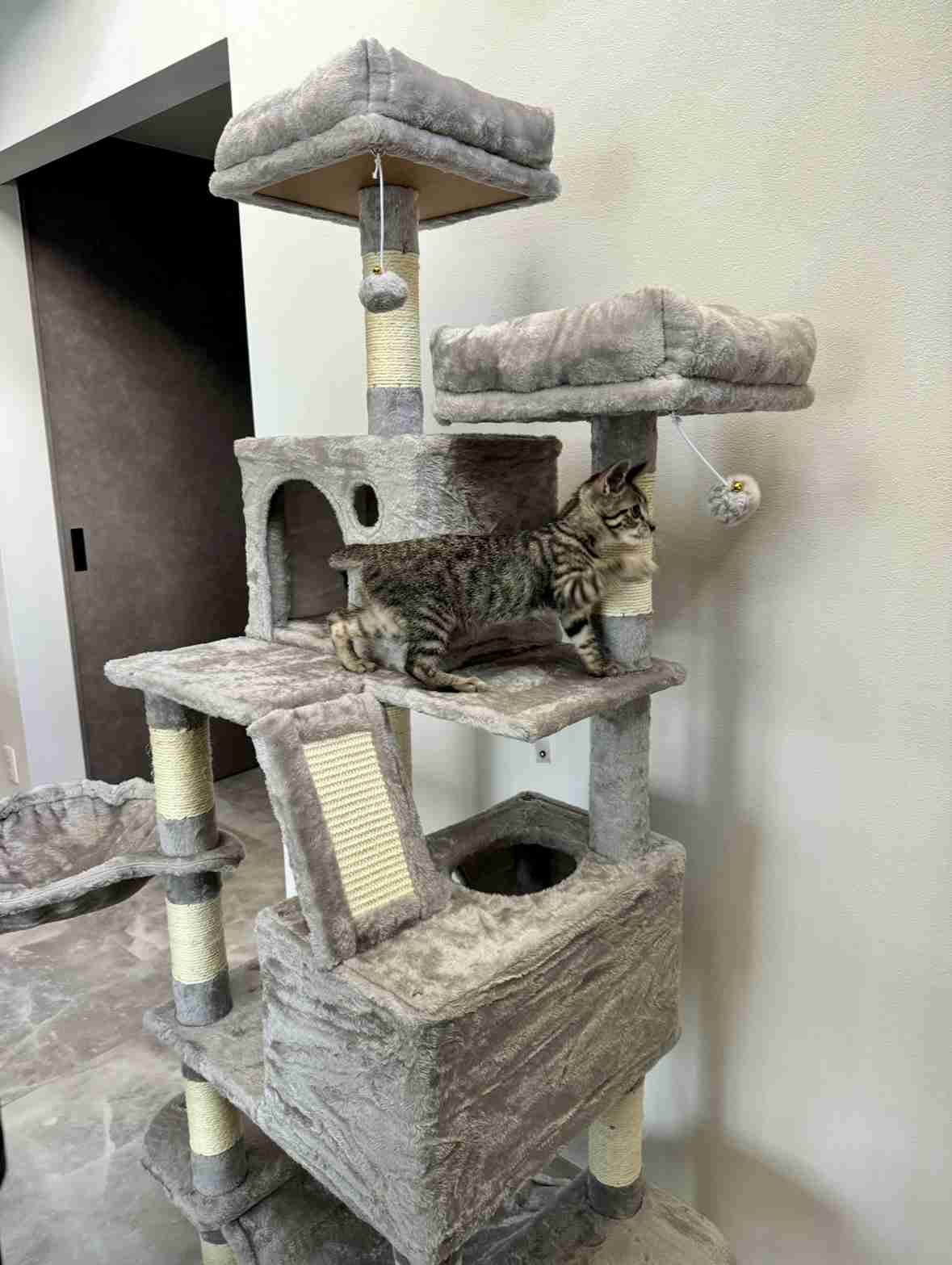 キャットタワーを語る