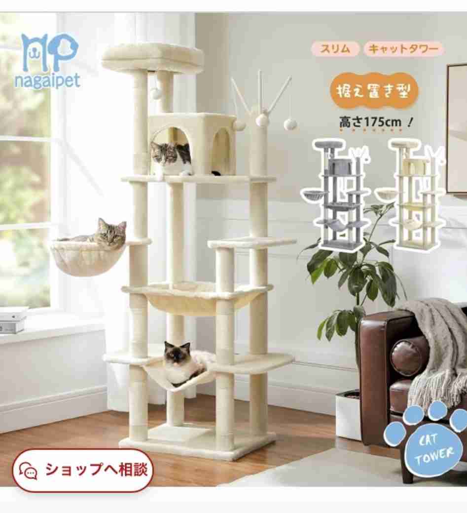 キャットタワーを語る