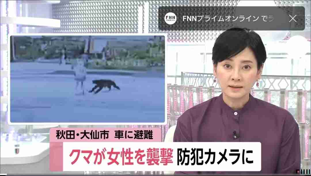 クマに襲われたか？　キノコ採り中に行方不明となった男性の捜索隊が山中で遺体発見　岩手・北上市