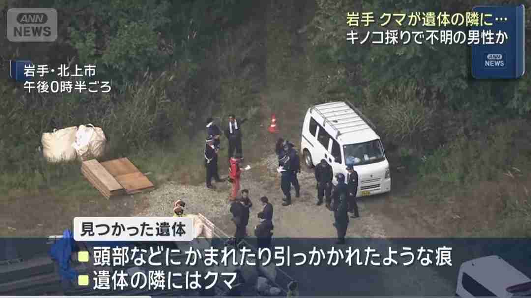 クマに襲われたか？　キノコ採り中に行方不明となった男性の捜索隊が山中で遺体発見　岩手・北上市