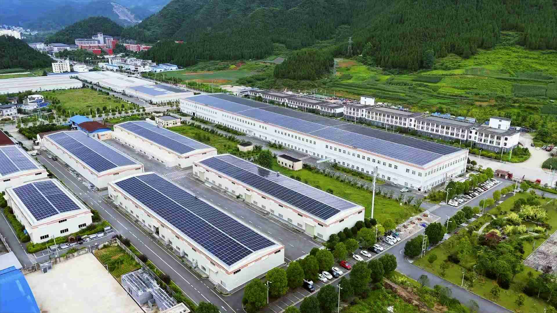 欧米でブームの“日本の抹茶”にドイツ人バリスタが絶対NG→自分でのカフェでは売らない姿勢に「本来の文化にも失礼」