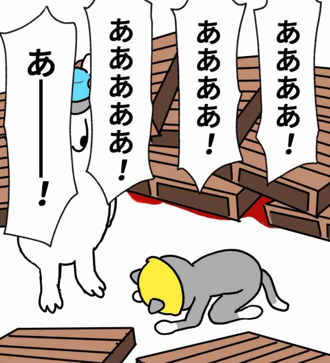小泉進次郎陣営、投開票前に“祝賀会”開催で「芸人より笑わせてくれる」国民から総ツッコミの“フライング”乾杯