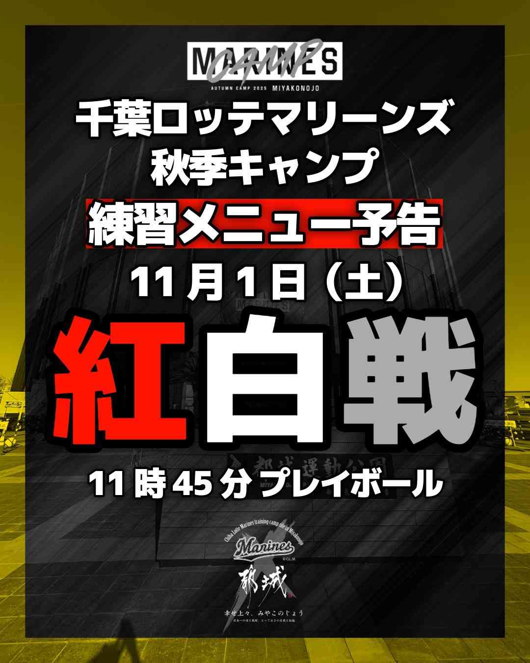 千葉ロッテマリーンズファン集まれ！Part29