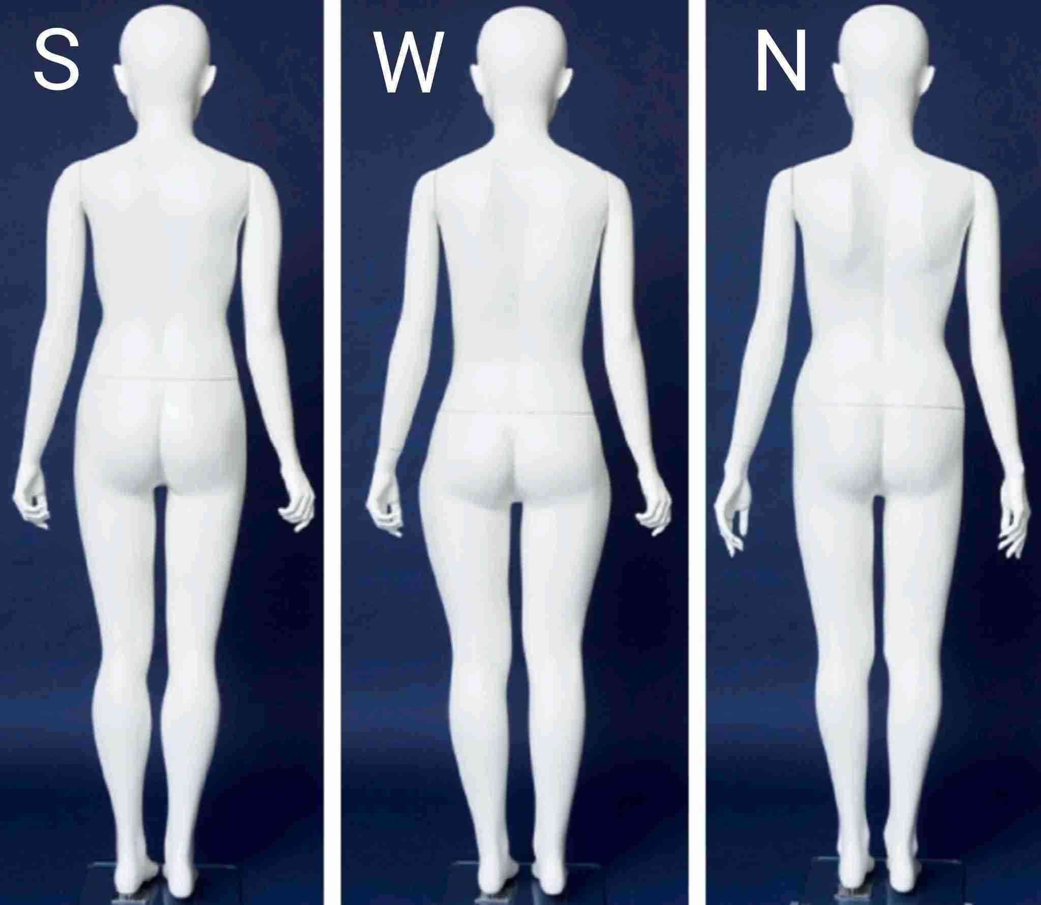 なぜ人は痩せていることの方が美しいと思うのだろうか