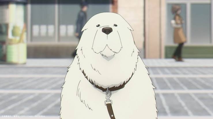 今一番好きなキャラクターはなんですか？