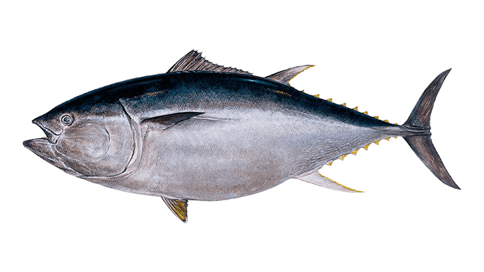 【アダルト】行為中にふと冷静になる瞬間