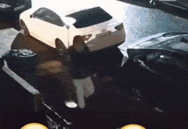 このGIFで笑ったことある人はプラス