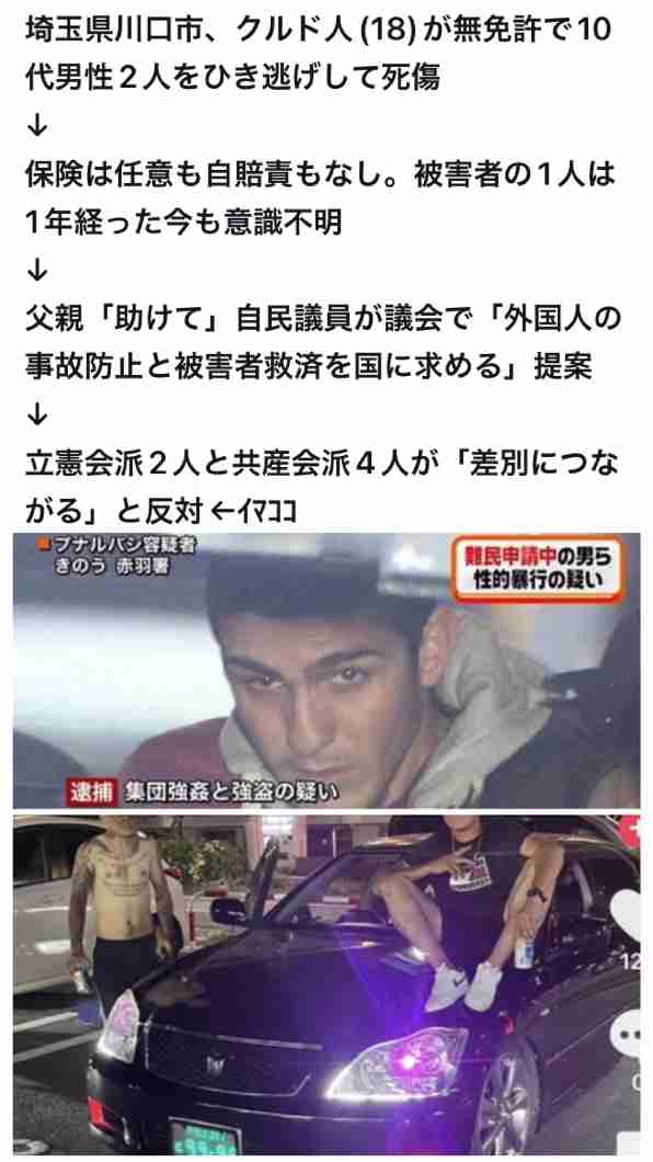 川口市議会が外国人の無免許・無保険事故で異例の意見書　立民共産反対「差別につながる」